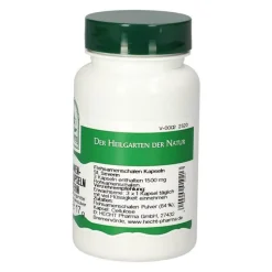 Flohsamenschalen-Flohsamenschalen St.Severin Kapseln, 30 St