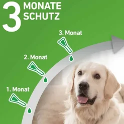 Frontline COMBO® gegen Zecken, Flöhe bei Hunden S (2 -10 kg), 3 St- Flöhe, Zecken & Co.