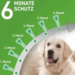 COMBO® gegen Zecken, Flöhe bei Hunden S (2 -10 kg), 6 St^Frontline Online
