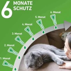 Frontline Flöhe, Zecken & Co.-COMBO® SPOT ON Katze, 6 St