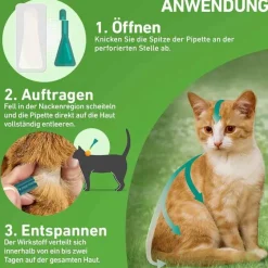 Frontline Flöhe, Zecken & Co.-COMBO® SPOT ON Katze, 3 St