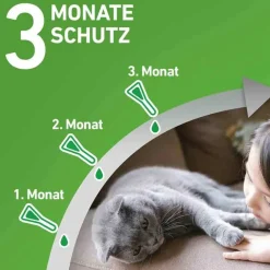 Frontline Flöhe, Zecken & Co.-COMBO® SPOT ON Katze, 3 St