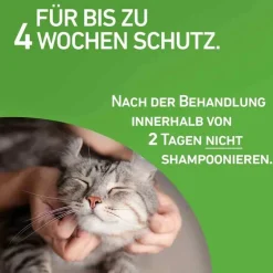 Frontline Flöhe, Zecken & Co.-COMBO® SPOT ON Katze, 3 St