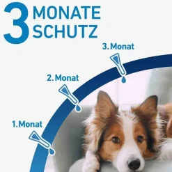 Frontline ® SPOT ON Hund M Lösung, 3 St- Flöhe, Zecken & Co.