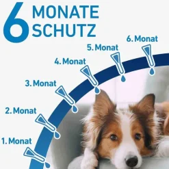 Frontline ® SPOT ON Hund S Lösung, 6 St- Flöhe, Zecken & Co.