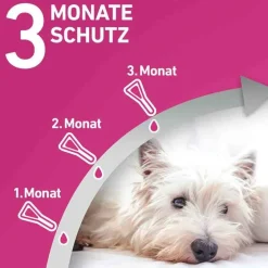 Frontline TRI-ACT® gegen Zecke, Floh und fliegende Insekten bei Hunden (20-40kg), 3 St- Flöhe, Zecken & Co.