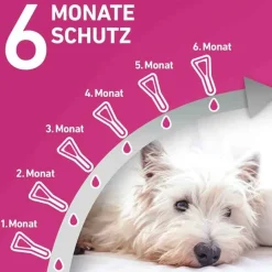 Frontline Flöhe, Zecken & Co.-TRI-ACT® gegen Zecke, Floh und fliegende Insekten bei Hunden (5-10kg), 6 St