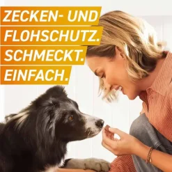 68 mg Kautabletten für Hunde 10 - 25 kg, 3 St^Frontpro Sale