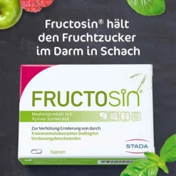 Fructosin Verdauung-, 10 St
