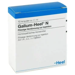 Heel Galium N Ampullen, 10 St- Heel