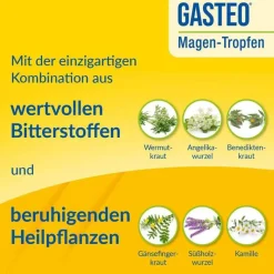 Gasteo Verdauung|Medikamente Gegen Blähungen-Tropfen bei Magen-Darm-Beschwerden, 100 ml