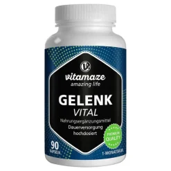 Gelenk Vital Kapseln, 90 St^Vitamaze Best