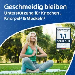 R(h)ein Nutrition Kollagen-Gelenkfutter Gelenkkapseln, 240 St