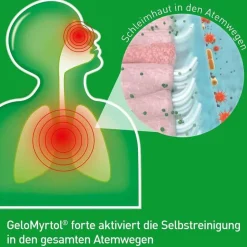 Gelomyrtol Schnupfen & Nasennebenhöhlen|Hustenlöser-forte Kapseln, 20 St