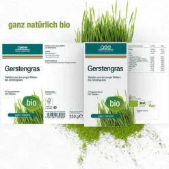 GSE Gerstengras|Sonstige Bio Produkte-Gerstengras 500 mg Bio Tabletten, 500 St