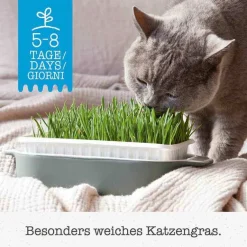 Gimpet Futter & Snacks-Soft Gras für Katzen, 100 g