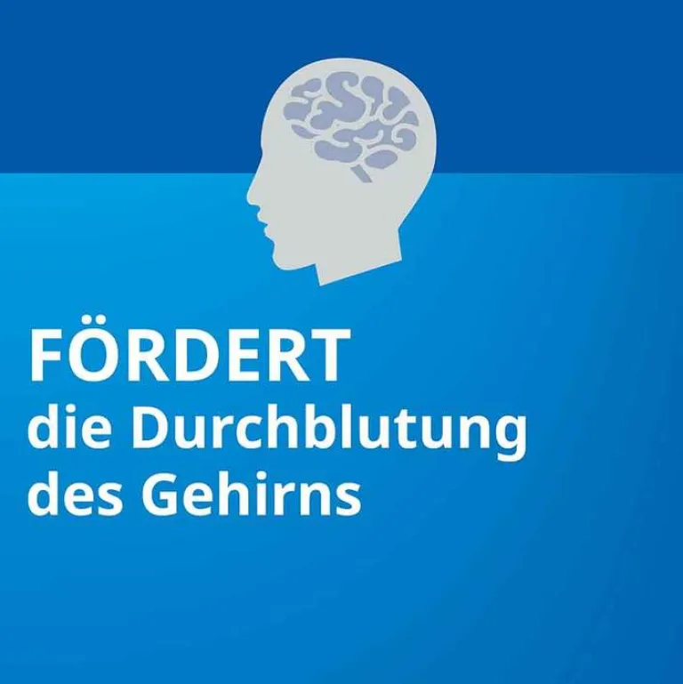 Ginkgo ® 240 mg Filmtabletten, 60 St^Stada Outlet