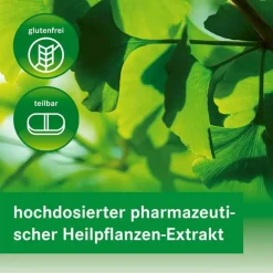 Heumann GINKGOVITAL 240 mg Filmtabletten, 30 St- Ginkgo|Durchblutungs Tabletten