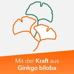 Ginkobil ratiopharm 240mg mit Ginkgo biloba, 120 St- Ginkgo|Durchblutungs Tabletten