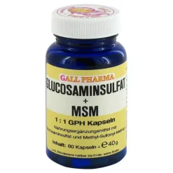 Hecht Pharma Msm Schwefel|Glucosamin-Chondroitin-Glucosaminsulfat + MSM 1:1 Kapseln, 60 St