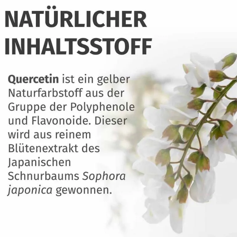 Green Naturals Quercetin 500 mg hochdosiert Kapseln , 180 St- Quercetin