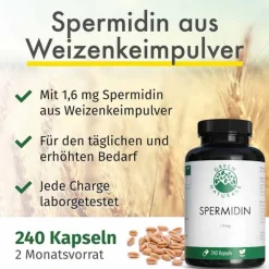 Green Naturals Spermidin-Spermidin 1,6 mg vegan Kapseln, 240 St
