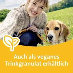 Grippostad Grippemittel-C Hartkapseln bei Erkältung, 3x24 St