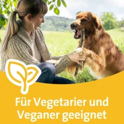 Grippostad Grippemittel-C Stickpack bei Erkältung, 12 St