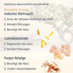Haut in Balance Gesichtsmasken Für Ein Gepflegtes Hautbild-Coupeliac Tuchmasken Intensiv-Kur, 1 St