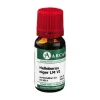 Helleborus Niger LM 6 Dilution, 10 ml^Arcana Online