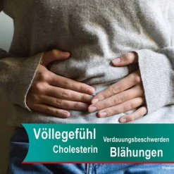 Hepar-SL ® 640 mg Filmtabletten, 50 St- Verdauung|Galle Medikamente