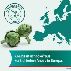 Hepar-SL ® 640 mg Filmtabletten, 50 St- Verdauung|Galle Medikamente