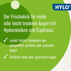 Hylo Eye Care Augentropfen Bindehautentzündung|Augentropfen Trockene Augen-HYLO FRESH® Augentropfen , 10 ml