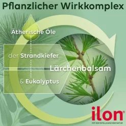 Ilon Wund- & Heilsalbe|Arzneimittel Gegen Ekzeme & Entzündungen-® Salbe classic, 25 g