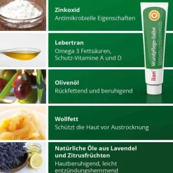 Ilon Wundpflege-Salbe, 50 ml- Wund- & Heilsalbe