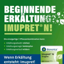 Imupret Abwehrsteigerung-N Dragees, 100 St