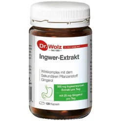 Dr. Wolz Ingwer Extrakt Kapseln, 120 St- Verdauung