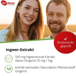 Dr. Wolz Ingwer Extrakt Kapseln, 120 St- Verdauung