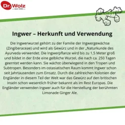 Dr. Wolz Ingwer Extrakt Kapseln, 120 St- Verdauung