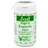 Jod Algen Kapseln, 60 St^Pharmadrog Online