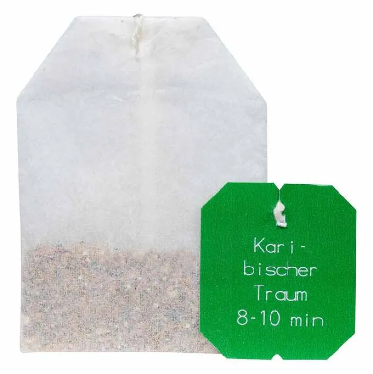 Karibischer Traum Bio Salus Filterbeutel, 15 St- Bio Tee