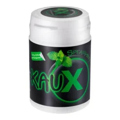 Zahnpflegekaugummi Spearmint mit Xylitol, 40 St^Kaux Online