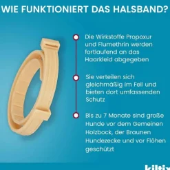 für große Hunde Halsband, 1 St^Kiltix Outlet