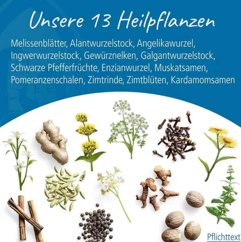 Klosterfrau Beruhigungsmittel|Verdauung-Melissengeist, 95 ml