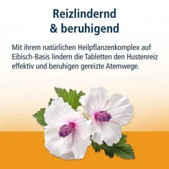 Klosterfrau Hustenstiller-Reizhusten Lutschtabletten, 24 St