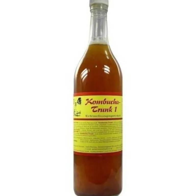 Kombucha Trunk 1 Gall Pharma, 1 l^Hecht Pharma Online