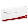 Wala Lachesis comp. Ampullen, 10X1 ml- Erkältung