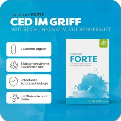 Lactobact Bakterienkulturen-Forte magensaftresistente Kapseln, 300 St