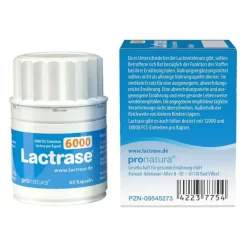 Lactrase 6.000 FCC Kapseln, 60 St- Laktase