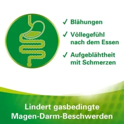 Enzym Kautabletten, 20 St^Lefax Online